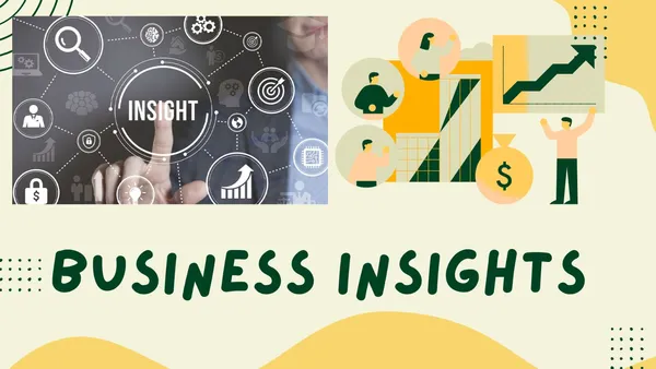 Business Insights 360