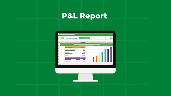 P&L Report-(FMCG)