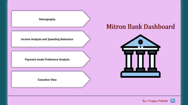Strategic Insights for Mitron Bank's Nwe Credit Card Line