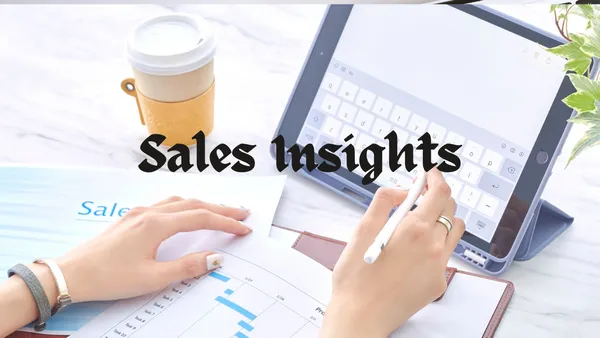 Sales Insights
