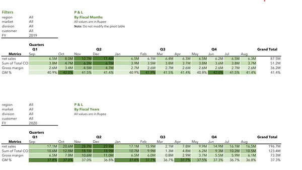 P&L Report - Excel Sales and Finance Analytics