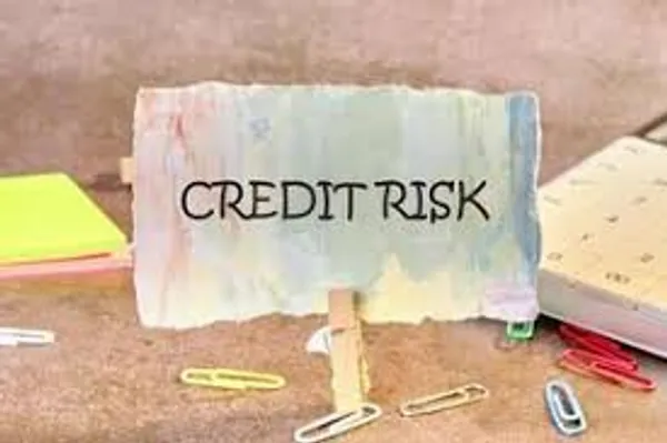 Credit Risk Prediction System