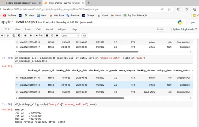 Hotel Domain Analysis Using Python