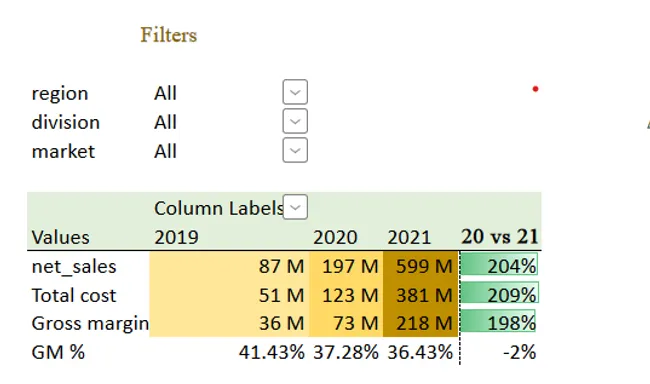 Excel Data Analysis Project