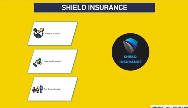 Shield Insurance Analysis