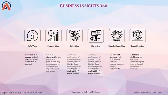Power BI: Business Insights 360