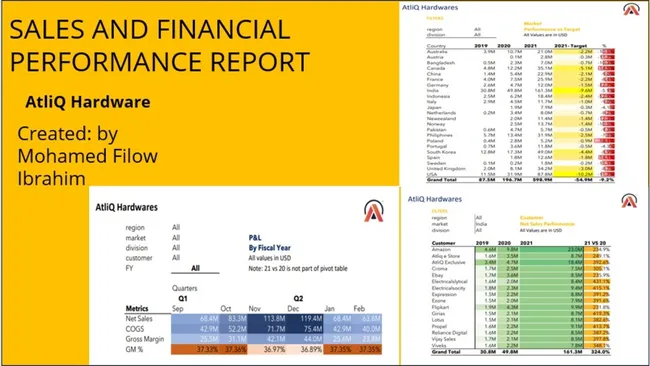 Profit & Loss And Sales Performance Reports