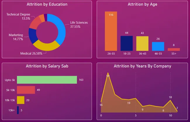 Portfolio - Sriraj Acharya | Codebasics