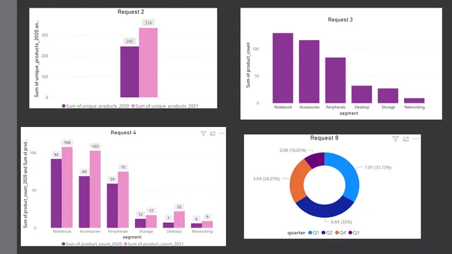 Consumer-Goods-Ad-hoc-Insights