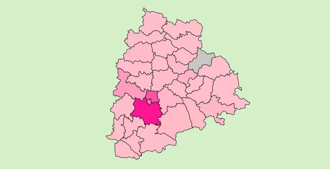 Telangana_state_Insights