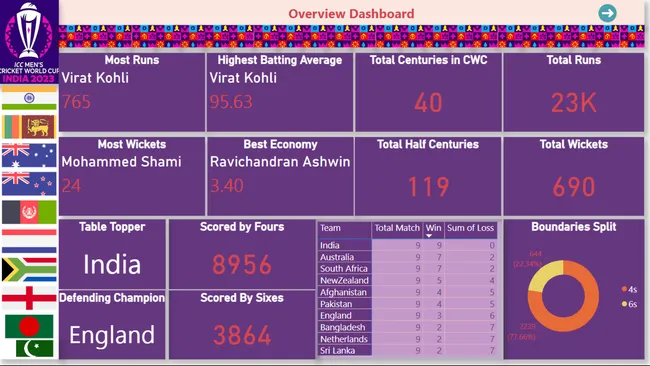 Cricket World Cup Insights