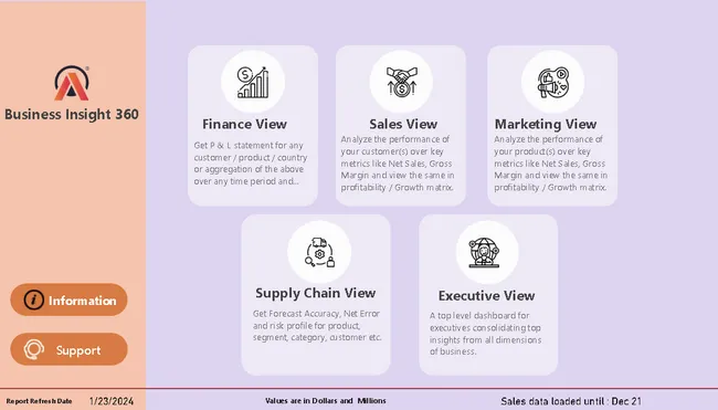 Business Insight 360