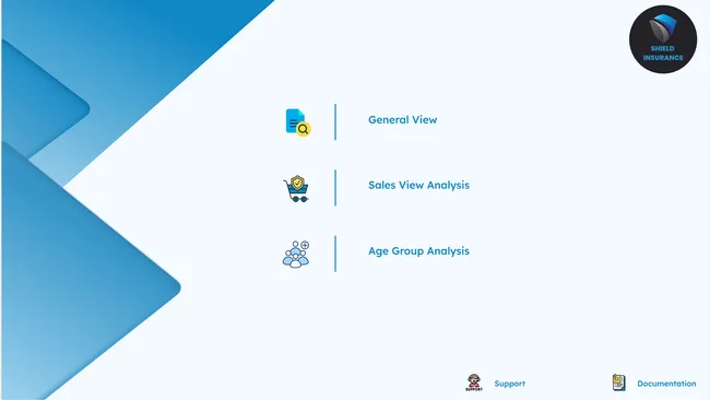 Analysis and Insights for Insurance Client