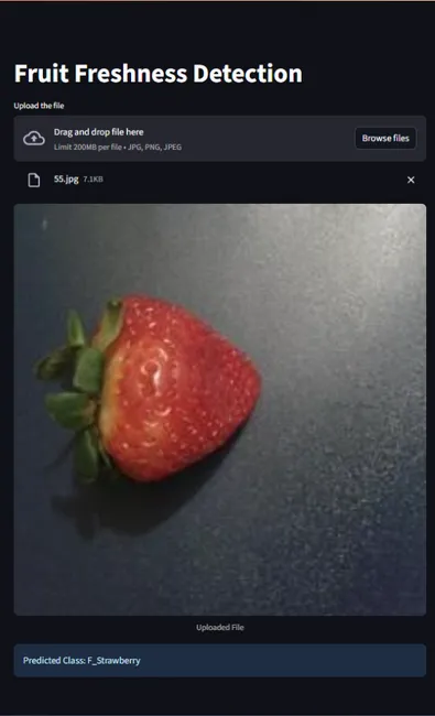 Fruit Freshness Detection