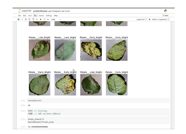 Deep Learning Project on Potato Plant Diseases 🌿