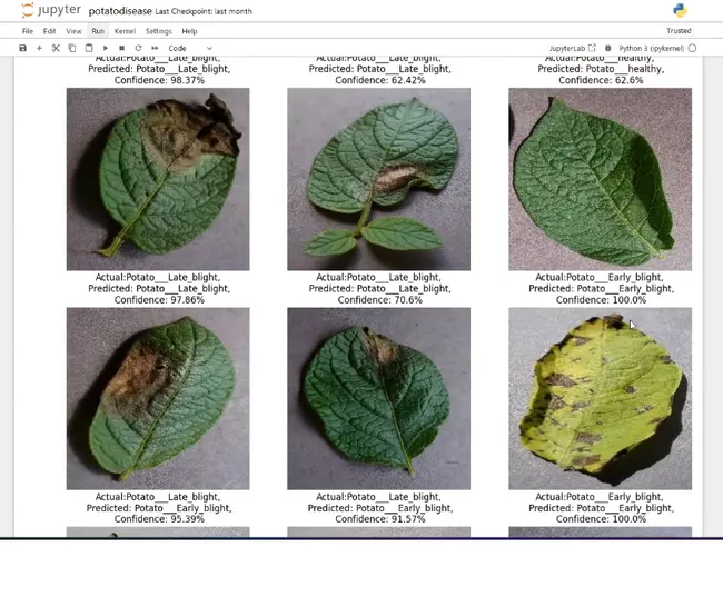 Deep Learning Project on Potato Plant Diseases 🌿