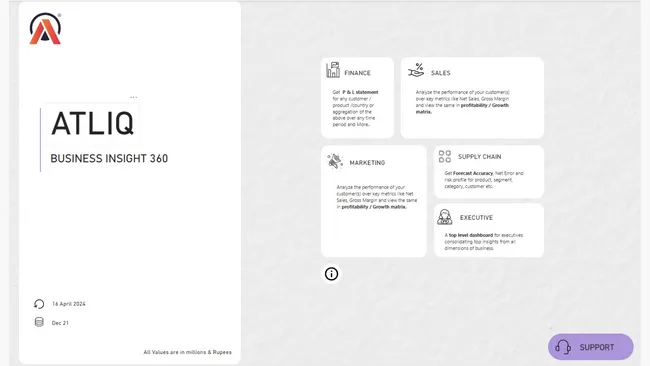 Business Insights 360