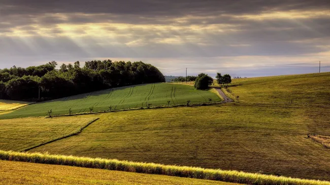 Crop Production Analysis