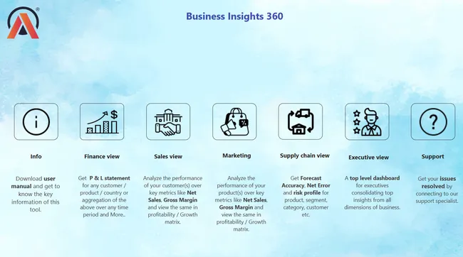 AtliQ Business Insights - 360
