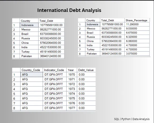 International Debt Analysis