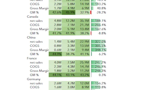 AtliQ Hardware Sales & Finance Analytics