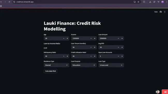 Credit Risk Prediction Model