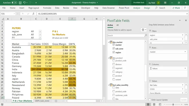 Transforming P&L Data into Strategic Financial Insights