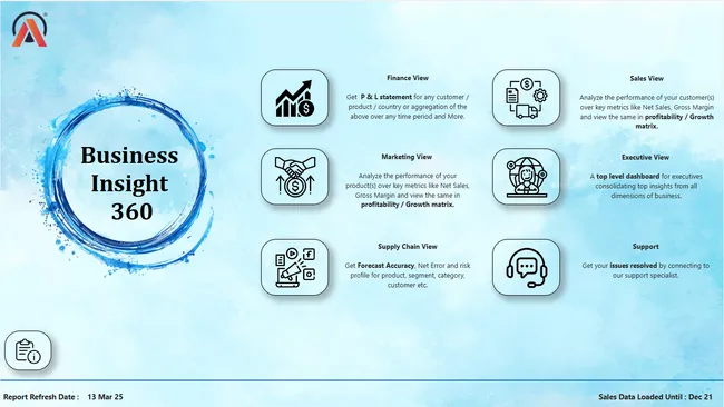 Business Insights 360