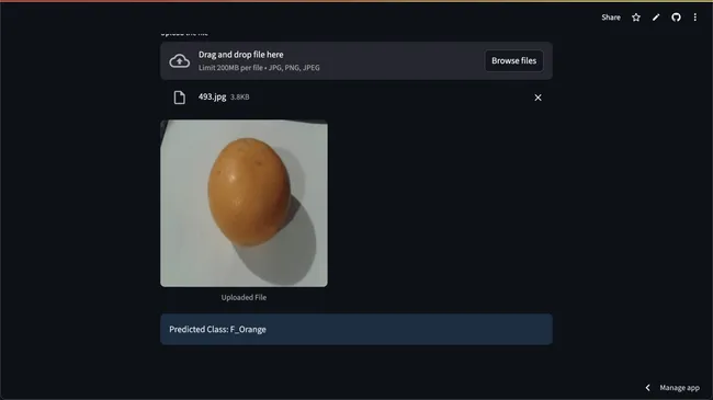 Fruit Freshness Detection