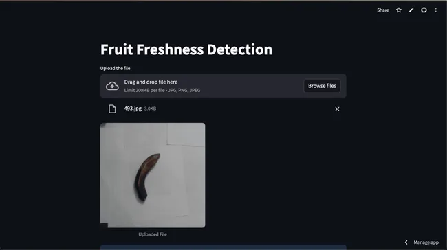 Fruit Freshness Detection