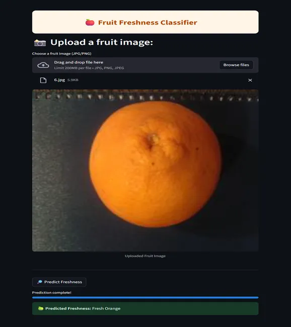 Fruit Freshness Classifier