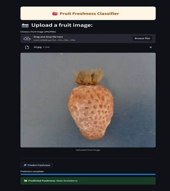 Fruit Freshness Classifier