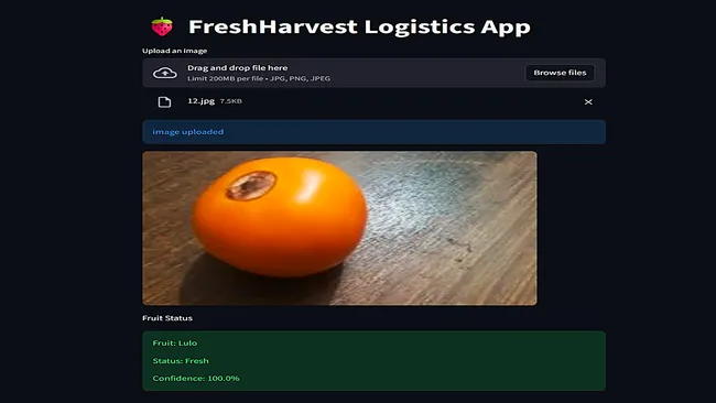 Portfolio - Manish awase | Codebasics