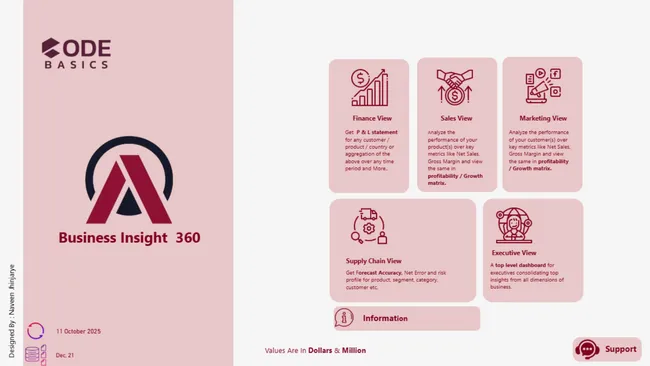 Business Insight 360
