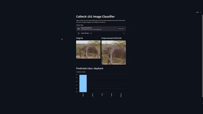 Caltech-101 Image Classifier