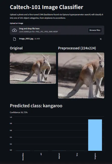 Caltech-101 Image Classifier