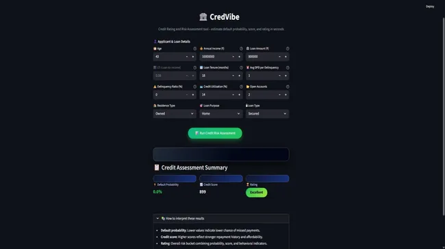 CredVibe: Credit Risk Assessment System